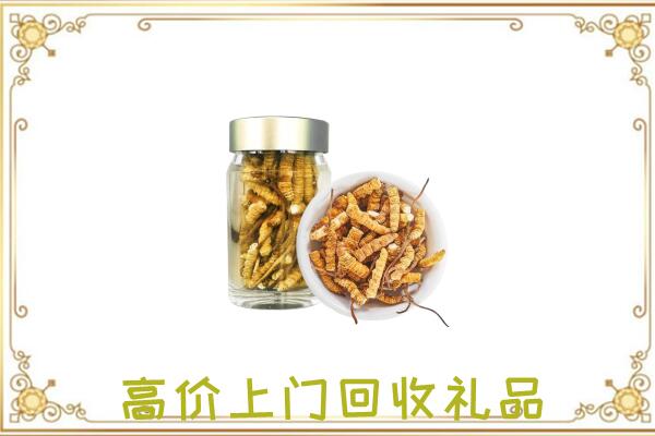 珠海周边回收虫草